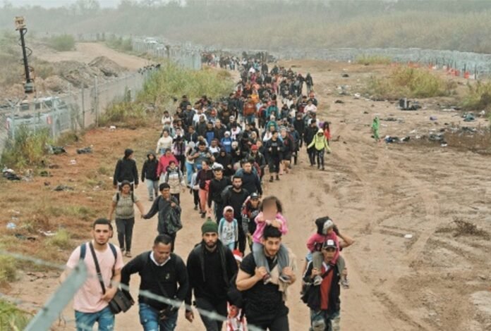 migracion