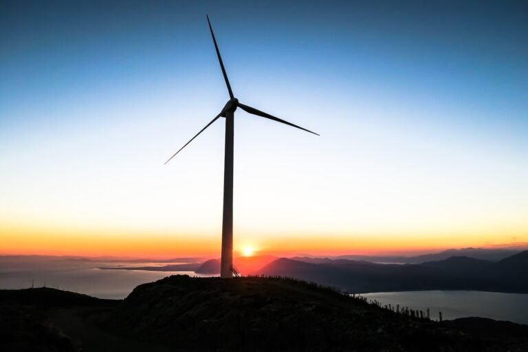 Un año histórico para las energías renovables en Europa: en 2020 por primera vez superaron a los combustibles fósiles
