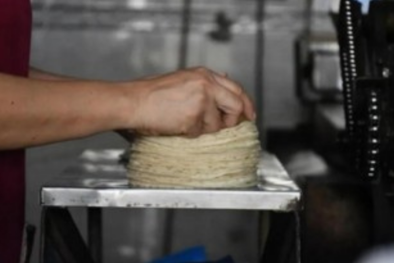 tortilla