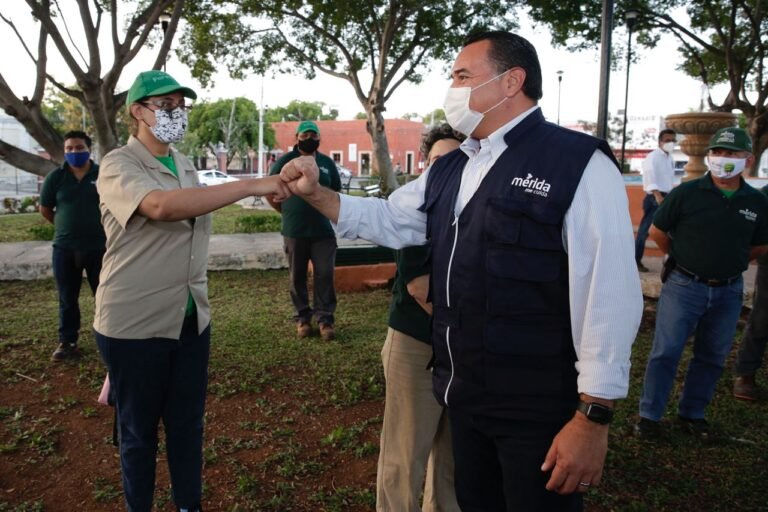 Ponen en marcha el plan de arborización en Mérida