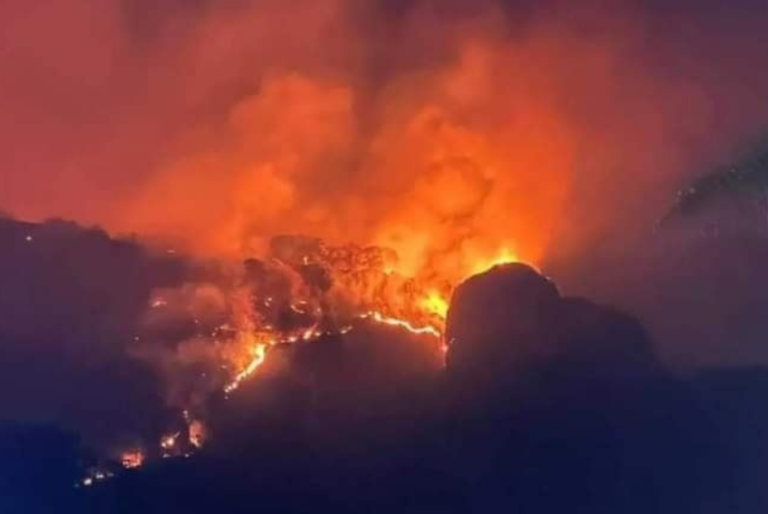 Responsable del incendio en el Tepozteco disfrutaba como se desarrollaba