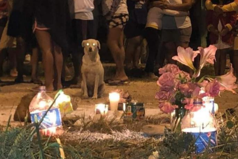 Tragedia en Umán: Niño de 7 años muere tras ser atropellado