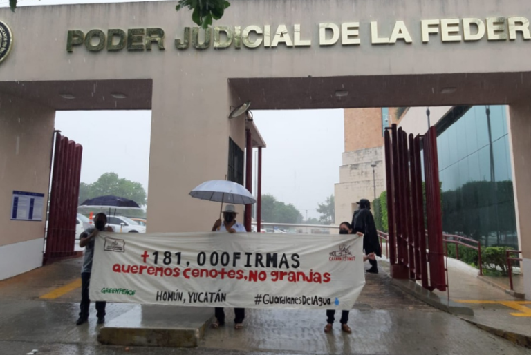 Organizaciones entregan más de 181 mil firmas contra Kekén