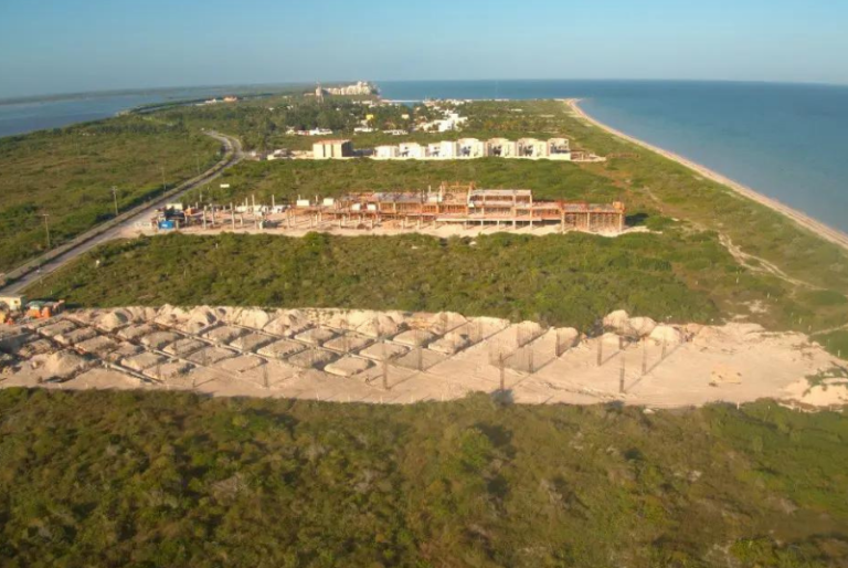 Grupo Aura, el paraíso inmobiliario de Segalmex en Yucatán