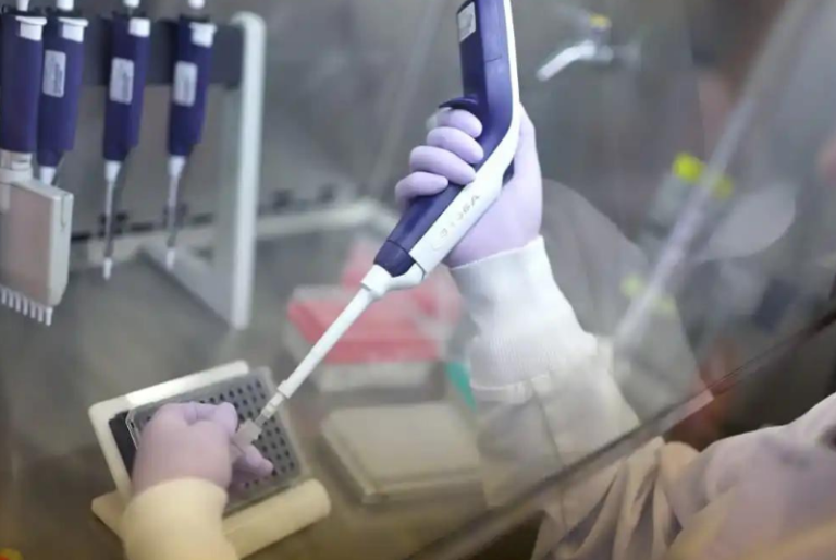 EU registra el primer caso humano de gripe aviar H5