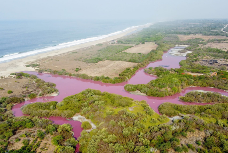 laguna