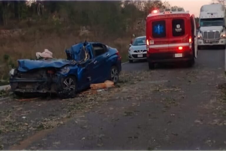 Fallece profesora al caer árbol sobre su automóvil en la carretera Mérida-Cancún
