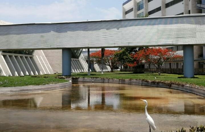 Desaparición del Hospital Regional de Alta Especialidad en Yucatán: ¿Dónde Queda “Primero los Pobres”?