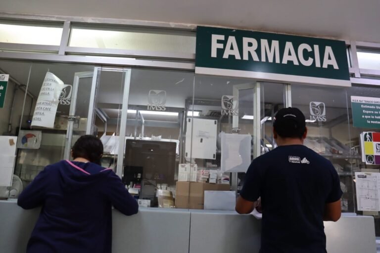 IMSS Yucatán destaca el papel del ácido fólico para prevenir malformaciones y cuidar la salud durante el embarazo