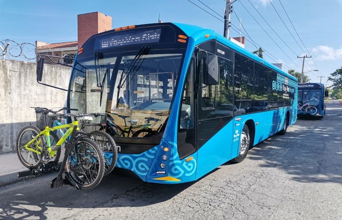 Piedra en el Camino: Ciclista Lanza Protesta a Camión del Va y Ven
