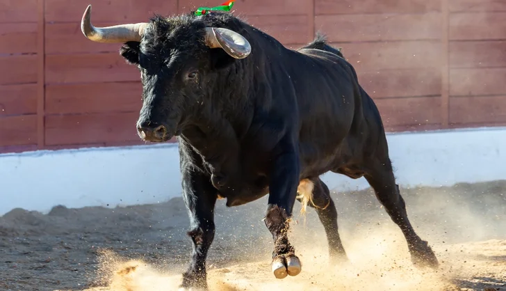 Ciudad de México entierra las corridas de toros tradicionales