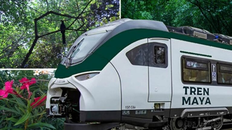 Se expropian más terrenos para vías del Tren Maya en Yucatán