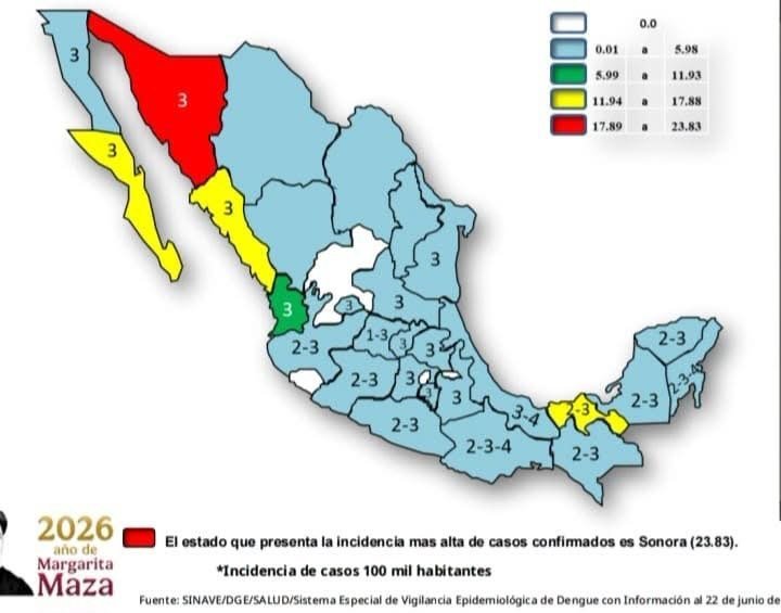 Yucatán suma nuevo caso de dengue tras cinco semanas; ya son 11 contagios en lo que va de 2026