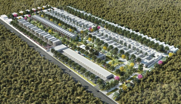 07-P-ORG02-1
