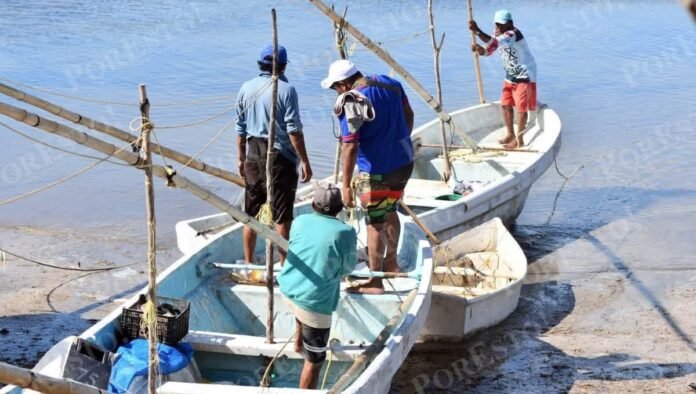 IMG_3438