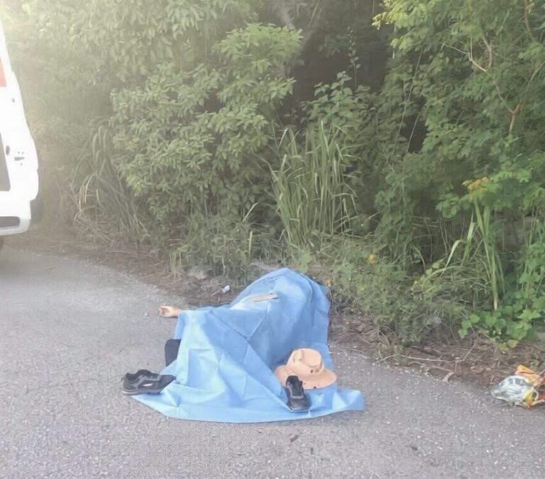 Fatal accidente en Temozón Norte: mujer pierde la vida tras ser embestida por un vehículo
