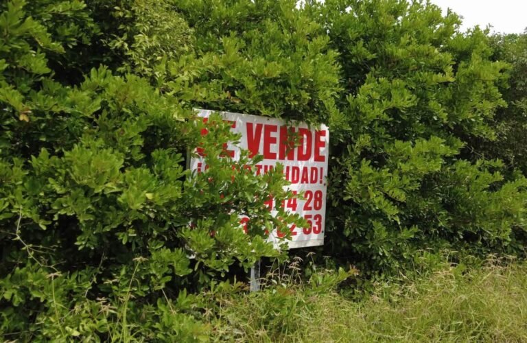 Sisal bajo presión inmobiliaria: Kookay construye entre denuncias y cuestionamientos ambientales